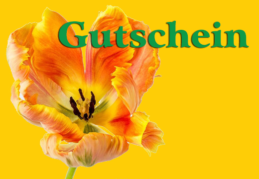 Gutschein verschenken